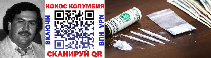 COCAIN Fish Scale  закладка  Анадырь 