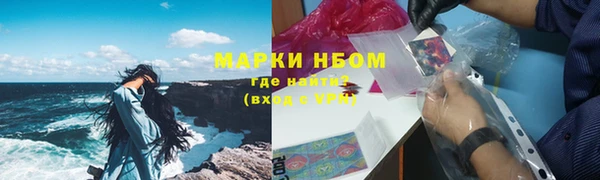 стафф Алзамай