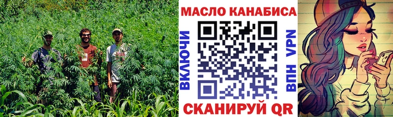 МЕГА   Анадырь  ТГК концентрат 